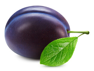 Plum isolated on white background