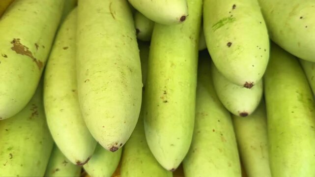 tracking shot of Fresh bottle gourd for sale in sbzi mandi, Farmers market in india