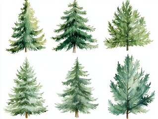 2408 52.A set of greenery Christmas pine trees in watercolor style, featuring different sizes and shapes. Each tree is beautifully rendered with varying shades of green, highlighting the natural