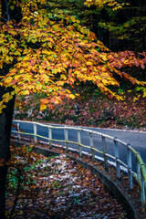 Fototapeta premium Autumn in Val Raccolana. Between peaks, lakes and streams. Julian Alps and Fontanone di Goriuda