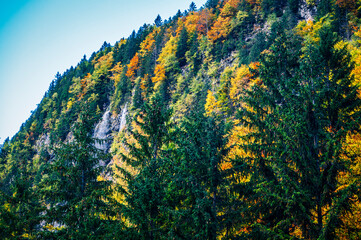 Autumn in Val Raccolana. Between peaks, lakes and streams. Julian Alps
