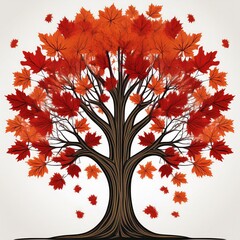 Maple tree
