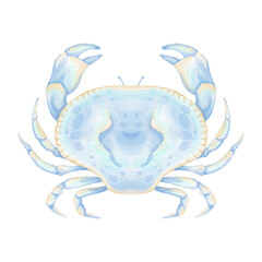 Watercolor blue crab. Cute watercolor animal illustration for textile and wrapping paper. Underwater world