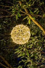 Enchanting illuminated orbs adorn trees, creating a magical night scene. 