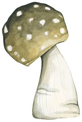 Watercolor painting of Forest mushroom.