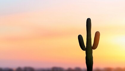 Silhouette of a cactus at dusk, empty sky with gradient colors, minimalist sunset vibe,  minimalist cactus silhouette, peaceful sunset