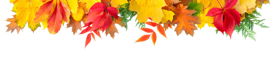 Natural fall leaves background