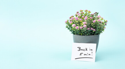 Back in 5 min is standing on a paper, message, working break, be right back, office desk with flower pot
