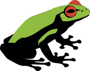 frog illustration vector
