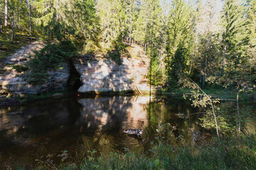 Nature of Estonia, landscape in Taevaskoja, husky dog ​​swimming in the river near the cave on a summer day.