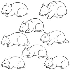 Wombat Lying Down Line Art Vector