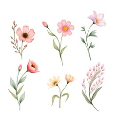 Flower patterns, backgrounds