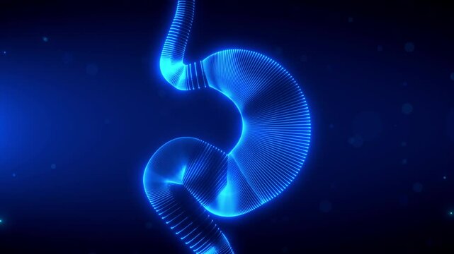 A high-tech 3D animation of a human stomach being scanned with glowing blue lines and particles rotating motion view, lasts 20 seconds seamless loop for medical and sci-fi applications