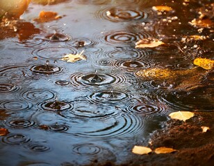 hojas de arbol caidas sobre un charco de lluvia en invierno