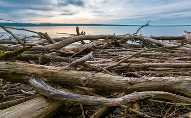 Treibholz nach einem Gewittersturm am Ammersee, Oberbayern, Bayern, Deutschland, Europa