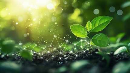 A vibrant young plant emerges from dark soil, illuminated by sunlight, with a digital network effect symbolizing growth and connection.