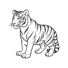 Obraz premium Black and white sketch of a full body tiger on a white background, tattoo