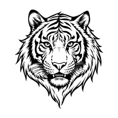 black and white sketch of a ferocious tiger's head on a white background for tattoo