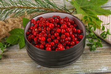 Natural organic wild forwst lingonberry