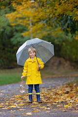 Obraz premium Beautiful blond preschool child, playing with leaves, mushrooms and pumpkins in the rain, holding umbrella, autumn day