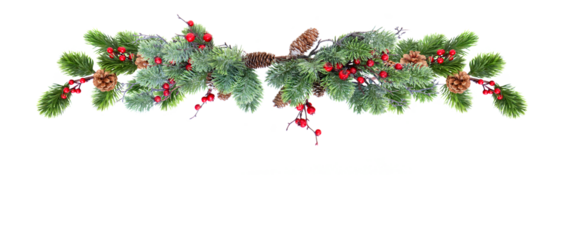 Christmas banner with evergreen tree and red berries 