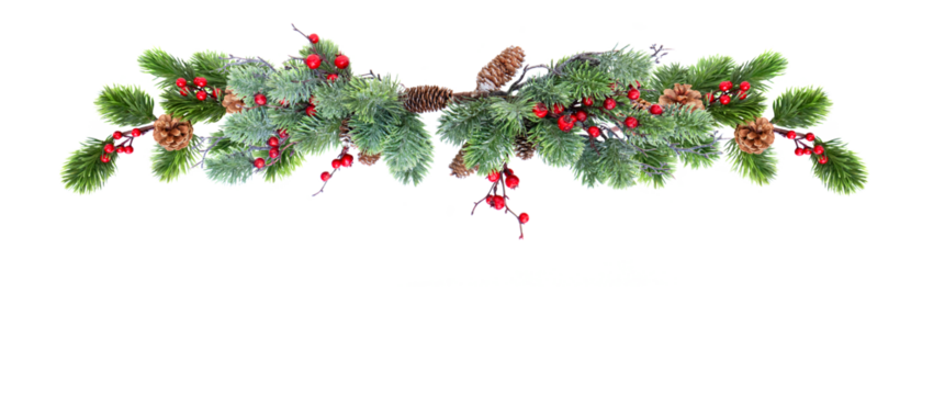 Christmas banner with evergreen tree and red berries 