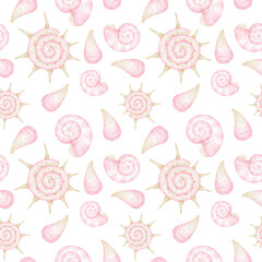 pink seashells. Cute watercolor pattern on white background for textile and wrapping paper. Underwater world