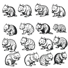 Obraz premium Wombat Nuzzling Line Art Vector