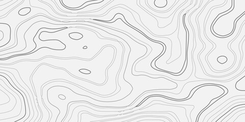 Abstract topography wave paper curved reliefs white line background, contours topography map background, topography and geography map grid background, Abstract vector illustration.