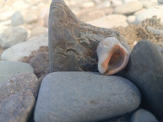 stone on the beach
