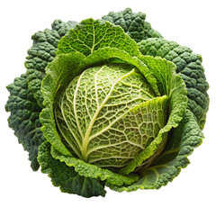 Savoy cabbage isolated on a transparent background