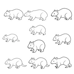 Wombat Running Line Art Vector 