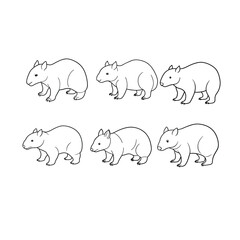 Wombat Sniffing Line Art Vector