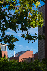 View of the roof of a modern house with solar panels through the green trees. Concept of caring for the planet, sustainable growth and clean and inexhaustible solar renewable energy