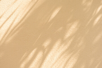 Wall interior background, studio and backdrops show products. with leaf shadow from window color beige and white. background for text insertion and presentation of product	