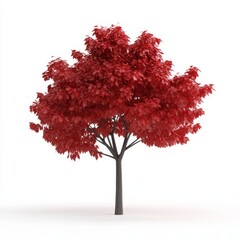 3D render of a red maple tree, isolated on a white background,