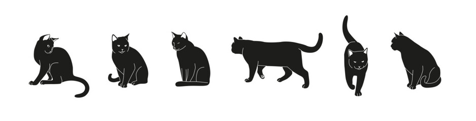 Set of vector black cats in different poses isolated on white background. Feline minimalistic illustration for Halloween. Sitting and walking cat