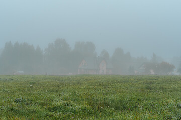 A narrow, fog-shrouded dirt road winds through a grassy field into the distance. The surrounding greenery is wet with dew and the soft mist creates a calm, atmospheric mood.