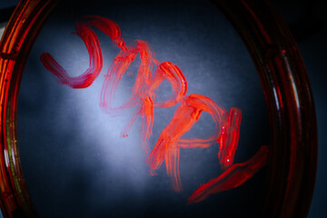 Close-up of the word "I'm sorry" written in red lipstick on a foggy mirror. The red strokes stand out against a dark, foggy background, creating a dramatic and emotional atmosphere.