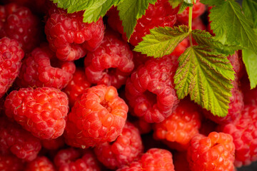 Ripe and juicy raspberry on the dark rustic background. Selective focus. Shallow depth of field.