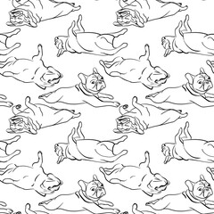 Fototapeta premium French bulldog pattern. Sketch illustration. Funny dogs lie on their backs. Black and white color. 