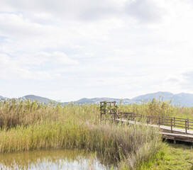 Vegetación en el lago con puente de mandera