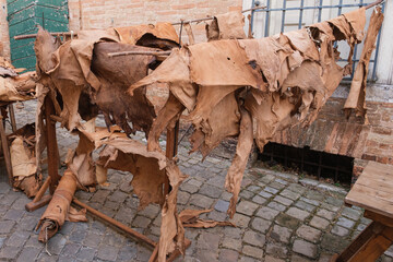 Pelli trattate in esposizione