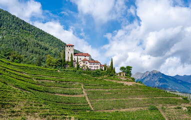 Landscape of wine yard  at South Tyrol, Italy seen from famous Waalwege hiking trail.