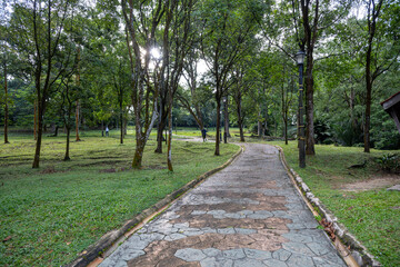 This vibrant collection showcases the rich biodiversity of tropical landscapes. Immerse yourself in the lush greenery, from towering trees and serene ponds dotted with lily pads to exotic foliage.