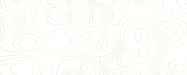 Abstract Terrain Map Design Featuring Geometric Grid Patterns and Curved Contour Lines for a Premium Topographic Illustration
