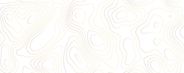 Luxury Geometric Topographic Landscape Design with Flowing Contour Lines and Organic Terrain Patterns in Elegant Gold
