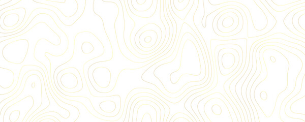 Luxury Geometric Topographic Landscape Design with Flowing Contour Lines and Organic Terrain Patterns in Elegant Gold
