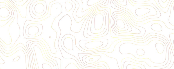 Abstract Topography Design Highlighting Flowing Terrain Patterns and Geometric Curved Contours in a Wide Landscape Format
