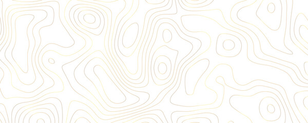 Luxury Abstract Topo Map Featuring Geometric Contour Patterns and Organic Terrain Curves in a Wide Landscape Design
